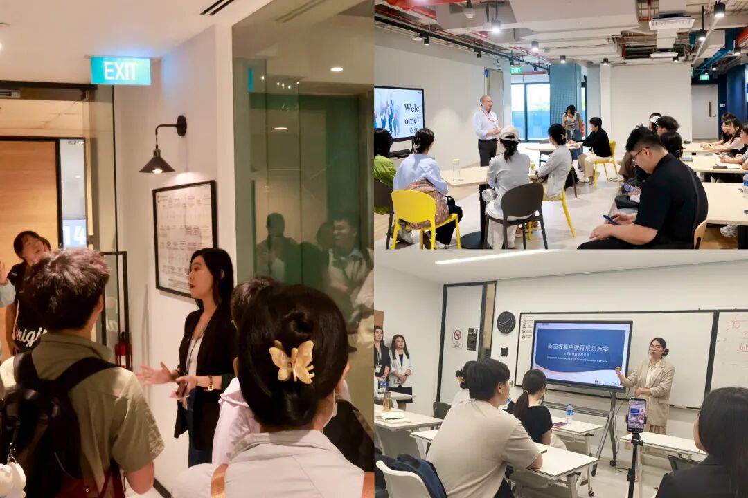 教师全周期职业发展体系