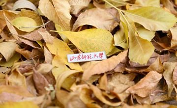 版权所有 777水果游戏机手机版与欧